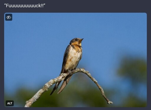 me_irl